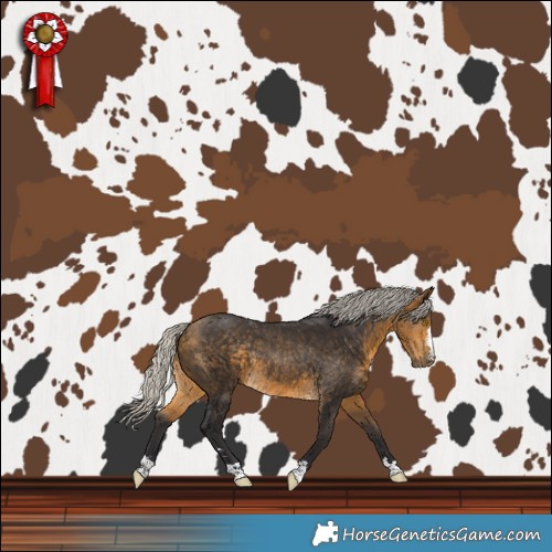 Horse Color:Silver Buckskin Rabicano 