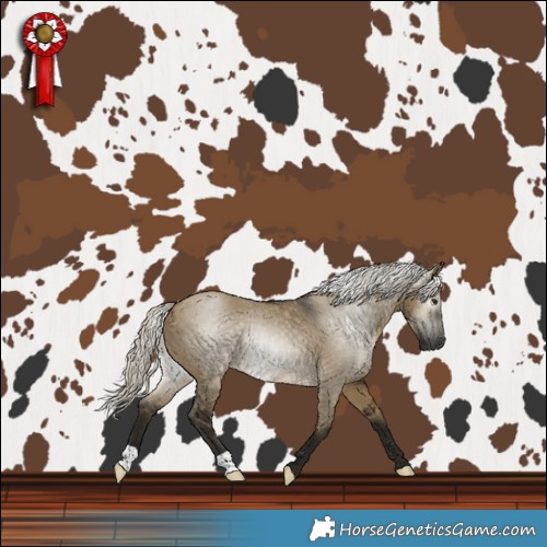 Horse Color:Gray Silver Buckskin Dun Rabicano 