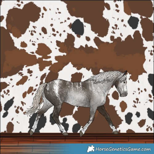 Horse Color:Powder White Gray Silver Smoky Black 