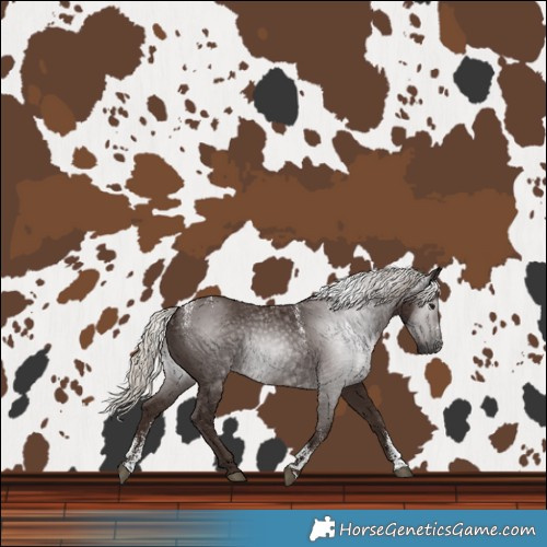 Horse Color:Powder White Gray Silver Black 