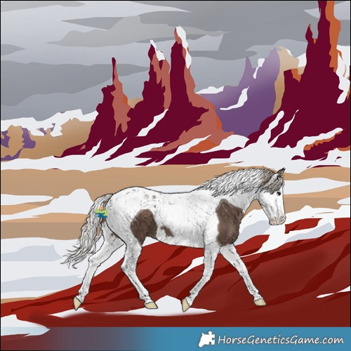 Horse Color:Silver Black Splash Tobiano 