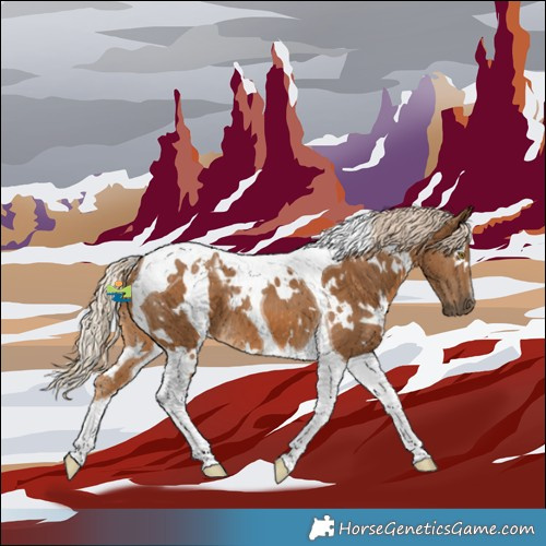 Horse Color:White Spotted Chocolate Palomino Tobiano 