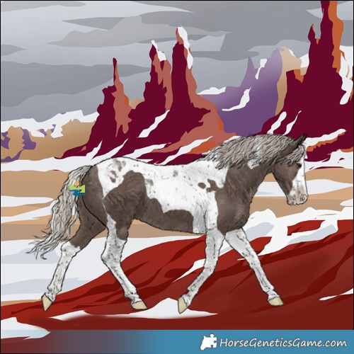 Horse Color:Silver Black Splash Tobiano