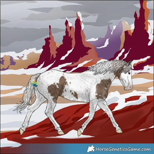 Horse Color:White Spotted Silver Smoky Black Splash Tobiano 