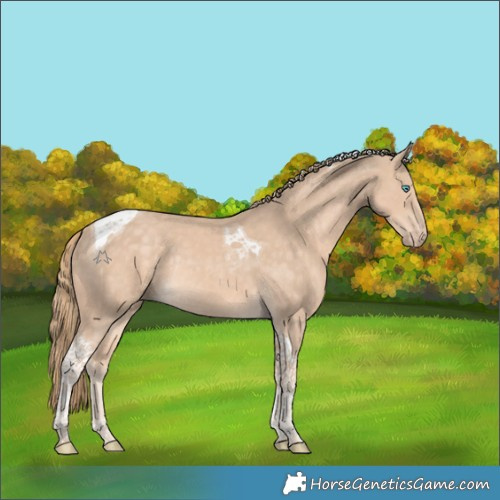 Horse Color:Perlino Tobiano Rabicano 