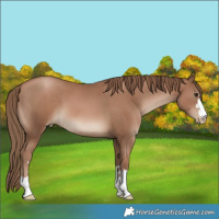 Horse Color:Black Pearl 