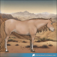 Horse Color:Black Pearl 