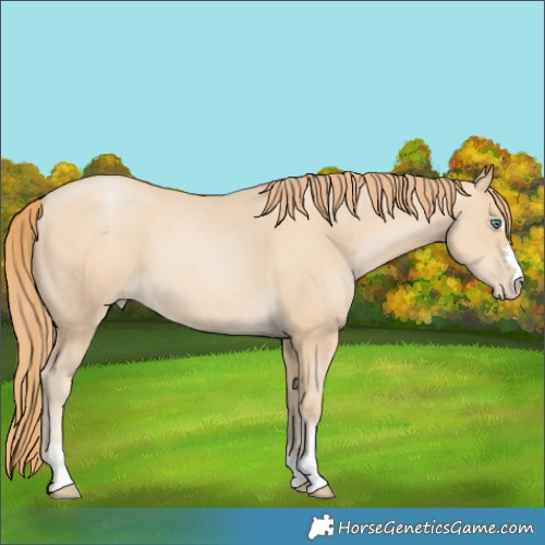 Horse Color:Smoky Black Pearl