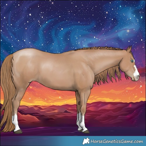 Horse Color:Black Pearl