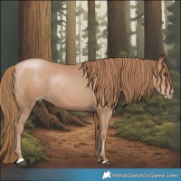 Horse Color:Black Pearl 