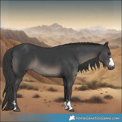 Horse Color:Black 