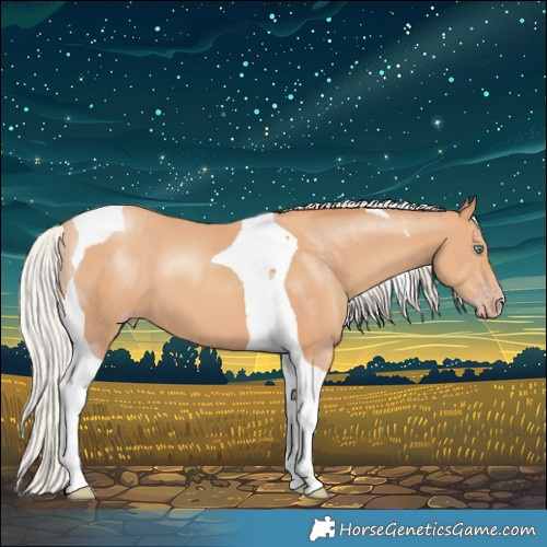 Horse Color:Silver Amber Champagne Tobiano