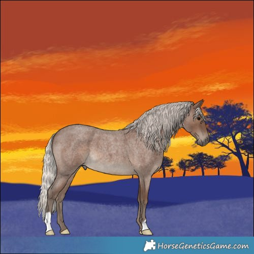 Horse Color:Silver Blue Roan 