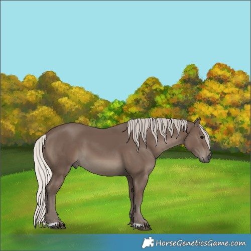 Horse Color:Silver Black 