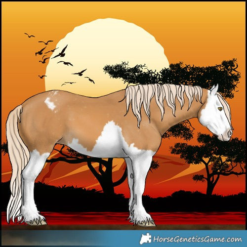 Horse Color:Palomino Splash Varnish 