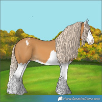 Horse Color:Palomino Splash Varnish