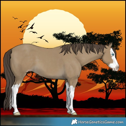Horse Color:Classic Cream Champagne Splash 