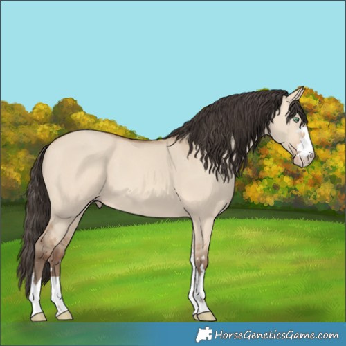 Horse Color:Amber Champagne Dun 
