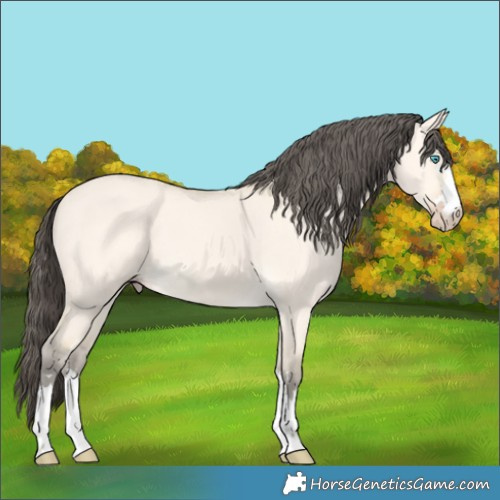 Horse Color:Amber Cream Champagne Dun 