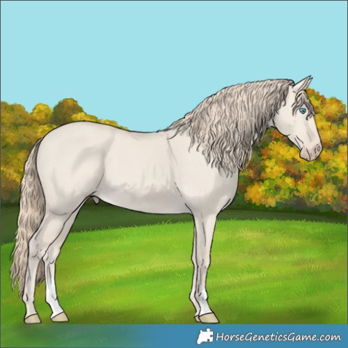 Horse Color:Smoky Creme Dun 