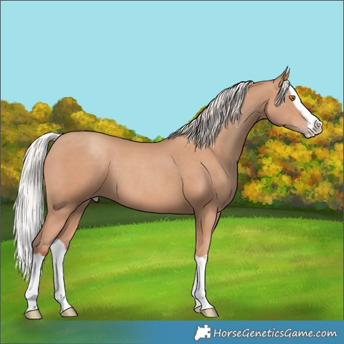 Horse Color:Silver Classic Champagne Splash 