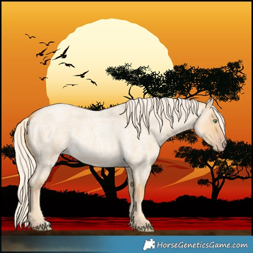 Horse Color:Gold Cream Champagne Roan Dun 