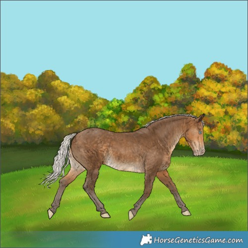 Horse Color:Gray Silver Perlino 