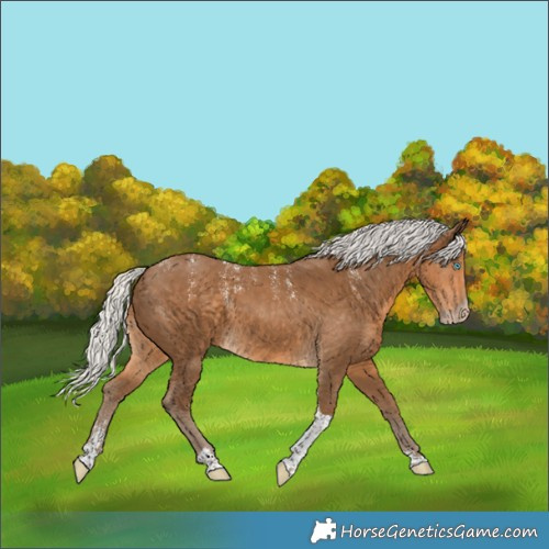 Horse Color:Powder White Gray Silver Smoky Creme Tobiano 