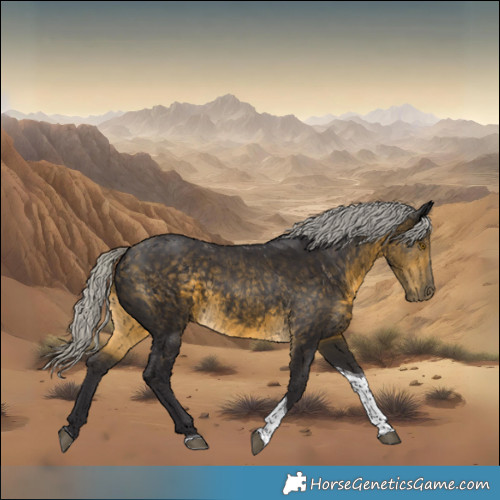 Horse Color:Silver Buckskin Tobiano