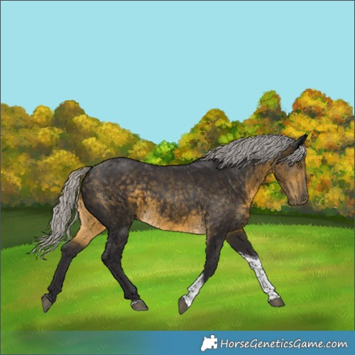 Horse Color:Silver Buckskin Tobiano 