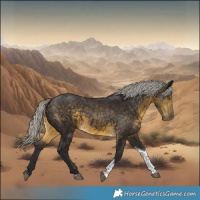 Horse Color:Silver Buckskin Tobiano