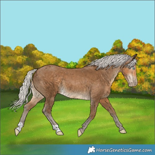 Horse Color:Gray Silver Smoky Creme 