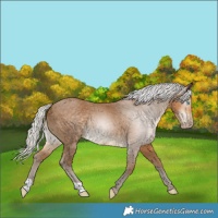 Horse Color:Gray Silver Smoky Creme
