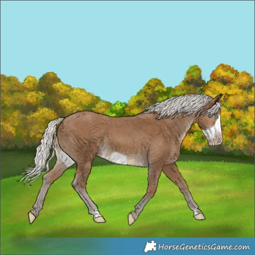 Horse Color:Gray Silver Smoky Creme Frame