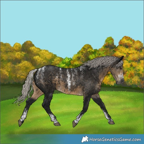 Horse Color:Powder White Gray Silver Smoky Black 