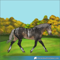 Horse Color:Powder White Gray Silver Smoky Black 