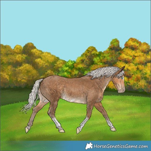Horse Color:Gray Silver Smoky Creme Tobiano Frame