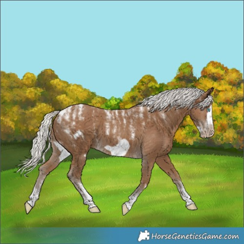 Horse Color:Powder White Gray Silver Smoky Creme Frame