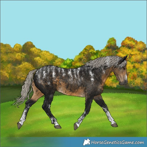 Horse Color:Powder White Gray Silver Smoky Black 