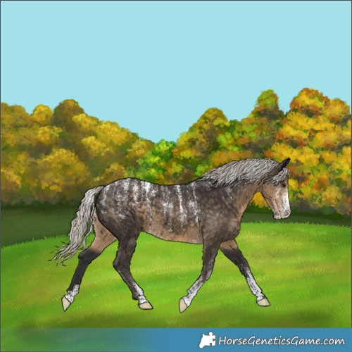 Horse Color:Powder White Silver Smoky Black 