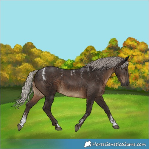 Horse Color:Powder White Gray Silver Black