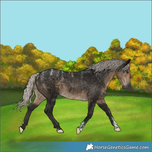 Horse Color:Powder White Gray Silver Smoky Black