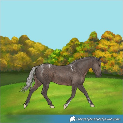 Horse Color:Powder White Silver Black