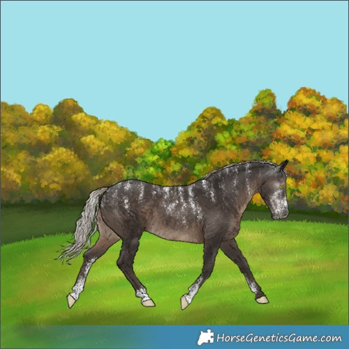 Horse Color:Powder White Gray Silver Black 