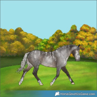 Horse Color:Powder White Gray Silver Black