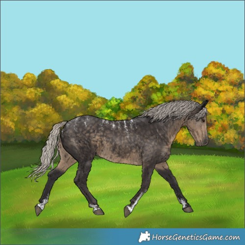 Horse Color:Powder White Silver Smoky Black 