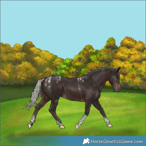 Horse Color:Powder White Silver Brown Tobiano 