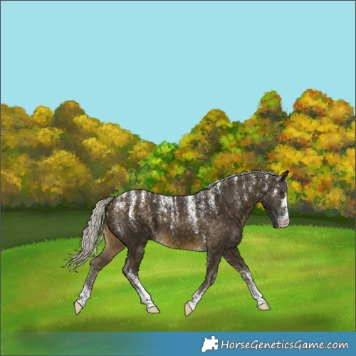 Horse Color:Powder White Silver Buckskin 