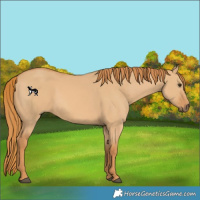 Horse Color:Red Dun 