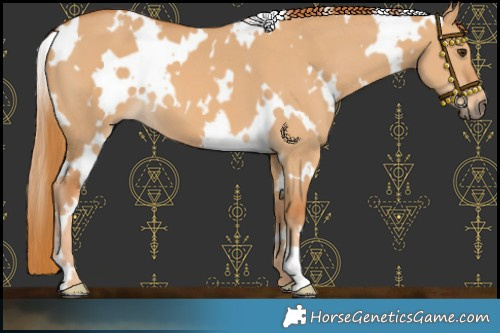 Horse Color:White Spotted Red Dun 